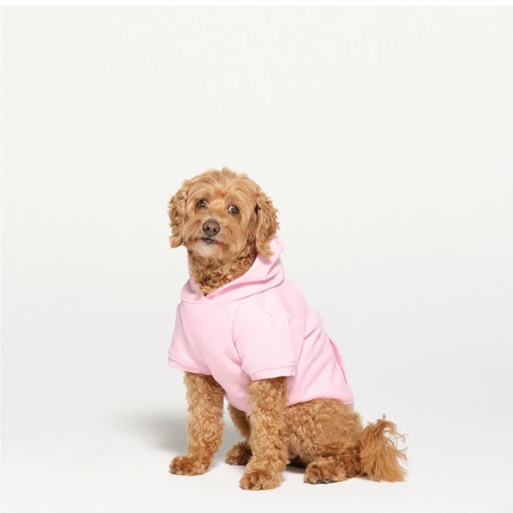 SKIMS Valentines Pink Dog Hoodie “Out of Sight in My Mind” size Medium